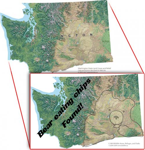 Bear eating chips found in eastern Washington